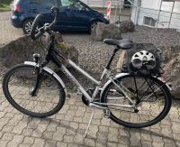 Herren/Damen Fahrrad Bellini Rheinland-Pfalz - Andernach Vorschau