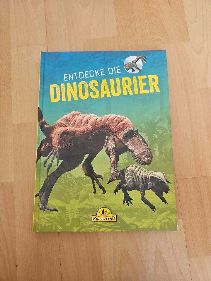 Dinosaurier Buch in Leer (Ostfriesland)