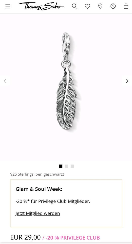 THOMAS SABO Charm ,,Feder" in Silber in Braunschweig