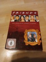 Friends Staffel 10 Köln - Ehrenfeld Vorschau