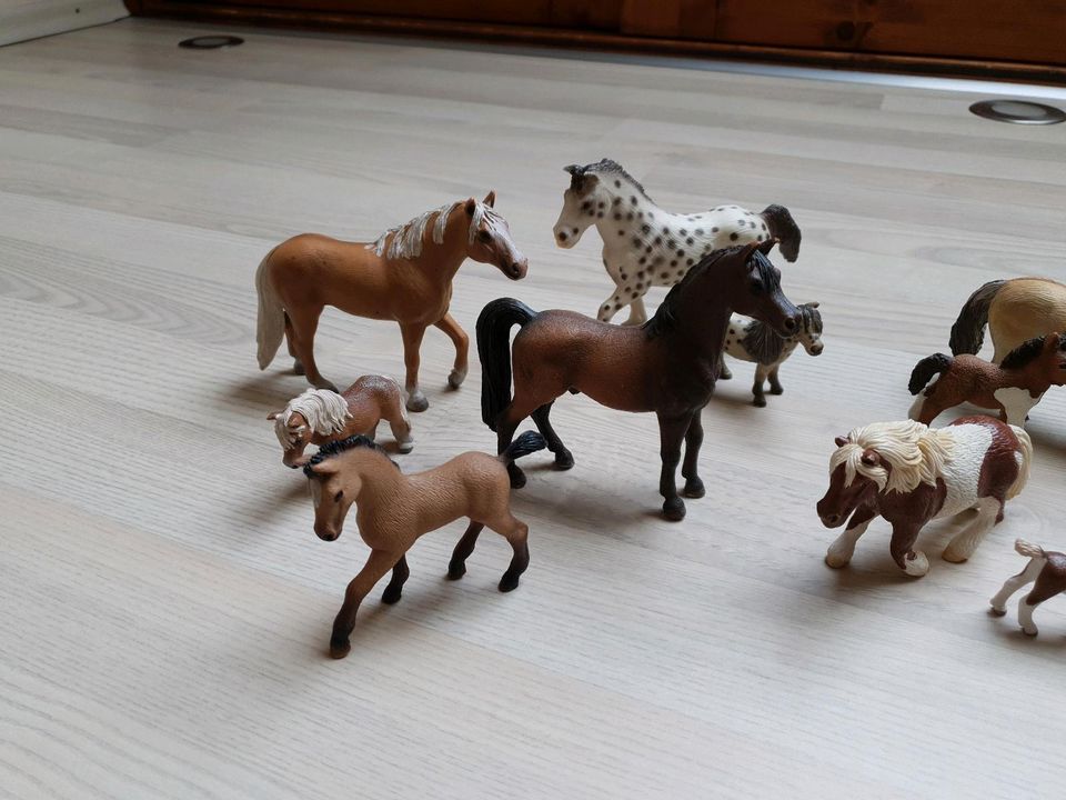 Schleich Pferde 12,Stück in Rosengarten