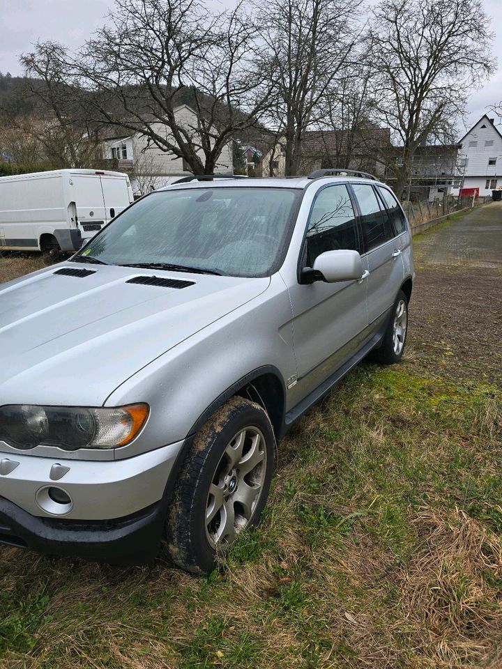 BMW  X5. E53 in Nideggen / Düren