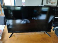 Medion Fernseher 80 cm - Display defekt Niedersachsen - Nordhorn Vorschau