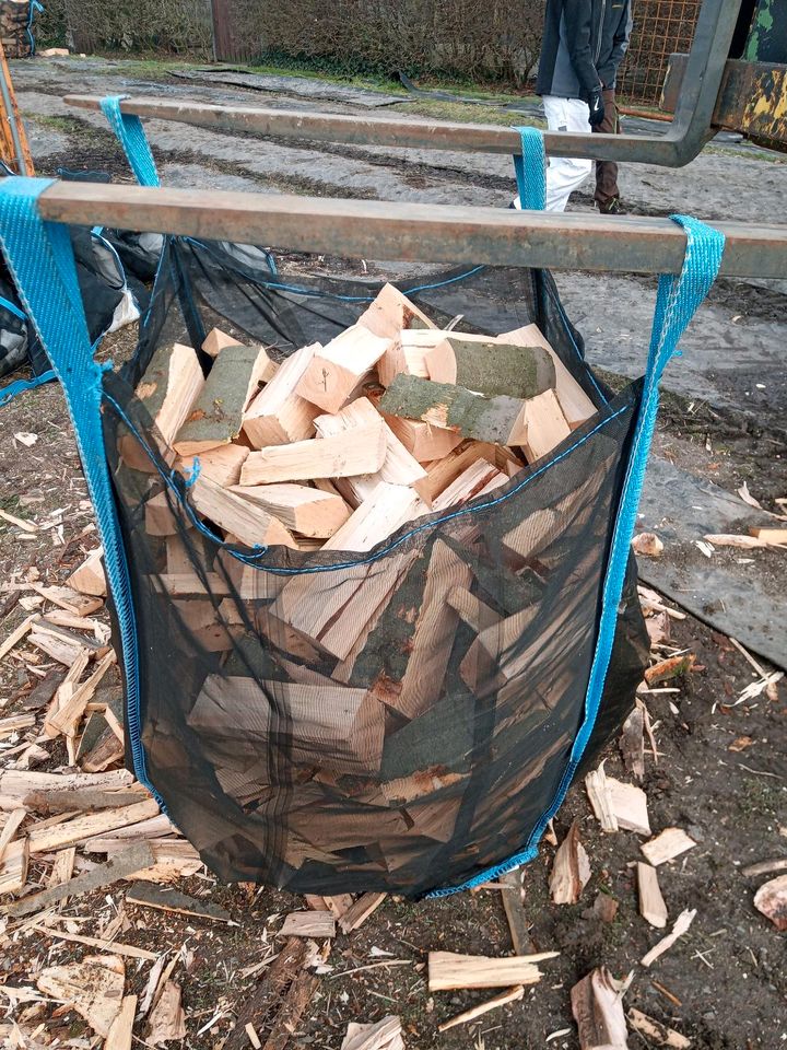 Brennholz Buche frisch zum einlagern in Hagen