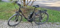 E-bike Fahrrad Victoria E-Trekking 8.8C 28" Herren Damen Senioren Baden-Württemberg - Rielasingen-Worblingen Vorschau