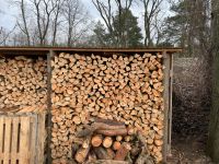 Brennholz Kiefer Brandenburg - Treuenbrietzen Vorschau