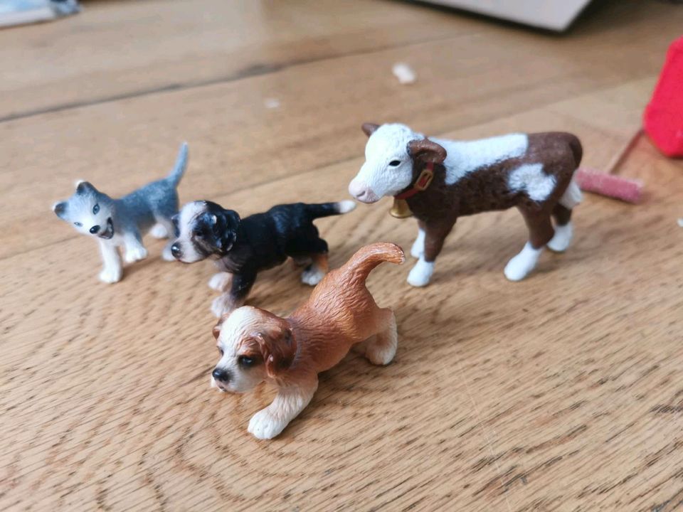 Schleich hunde kalb husky Hundehütte in Wermelskirchen