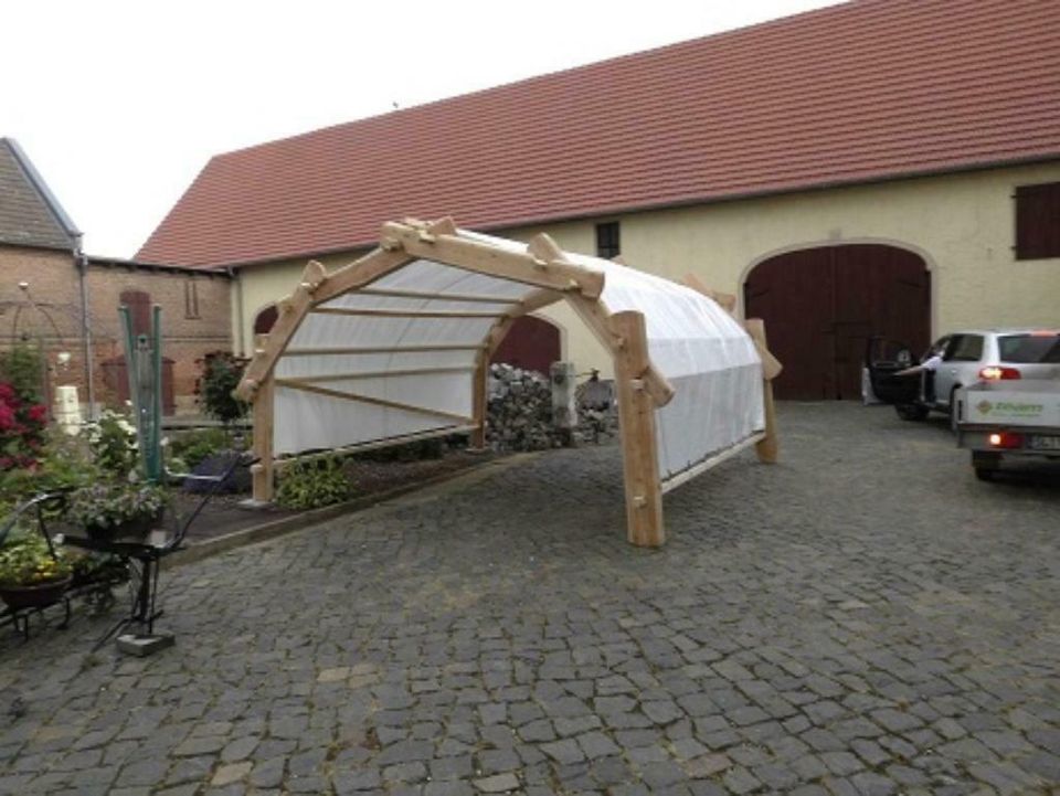 Pavillon, Sonnenschutz, Wetterschutz, Carport, bis zu 3 x 3 Meter in Kropp