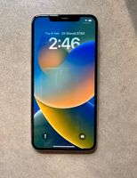 Apple iPhone 11 Pro Max in weiß 265 gb Akku 81% Brandenburg - Bad Liebenwerda Vorschau