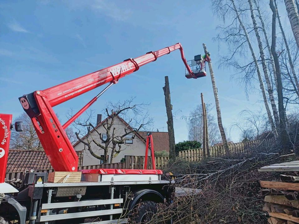 Baum- und Gartenpflege in Oettingen in Bayern