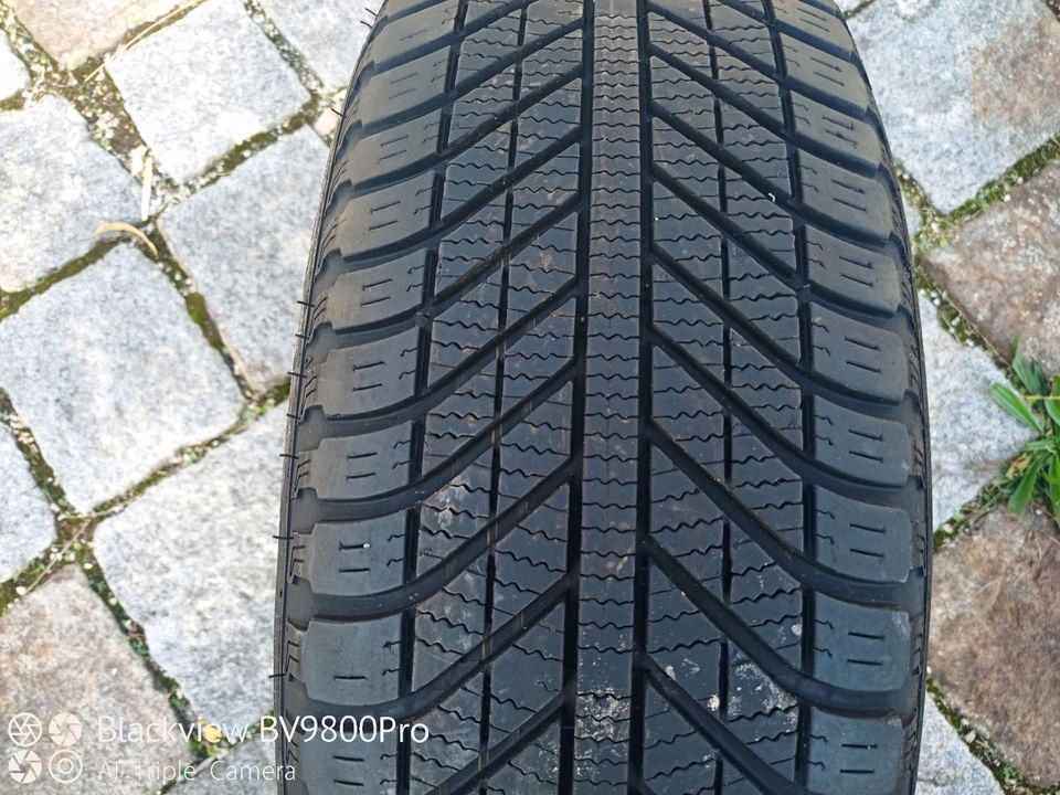 Reifen Good Year Vector 4Seasons 215/70R16 in Haar