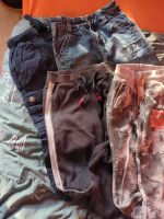 Verkaufe 4 Hosen /Jeans Jogginghose von Topolino Gr 116 Niedersachsen - Barsinghausen Vorschau