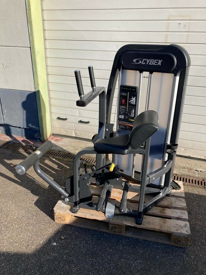 Cybex Fitness Eagle NX Abdominal Bauchmuskelmaschine TOP! in Ludwigsburg