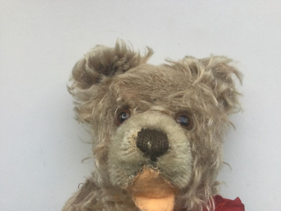 Steiff Plüsch Figur Bär Teddybär Alt ca. 1960 mit roter Schleife in Künzell