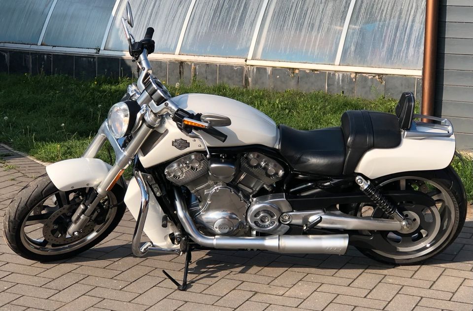 Harley V-Rod Muscle, weiss, Aug- 2017 - TOP in Emsdetten