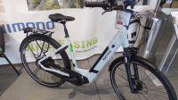 BESV CT 2.1LS, E-Bike, E-Trekking, EP6, 85 Nm, Enviolo Nabe 2023 Nordrhein-Westfalen - Kirchlengern Vorschau