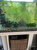 Aquarium super Fish mit Schrank zu verkaufen Bayern - Obernburg Vorschau