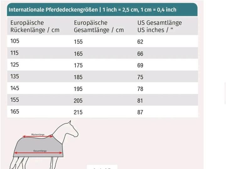 Pferdedecke 125cm Baumwolle / Ledergurt vorne in Altdorf