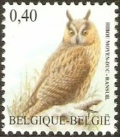Belgien 3784 ** Fauna - Nachtgreifvögel - Raubvögel - Waldohreule Nordrhein-Westfalen - Kamen Vorschau