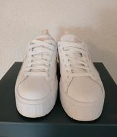 Sportschuh Hessen - Ebsdorfergrund Vorschau