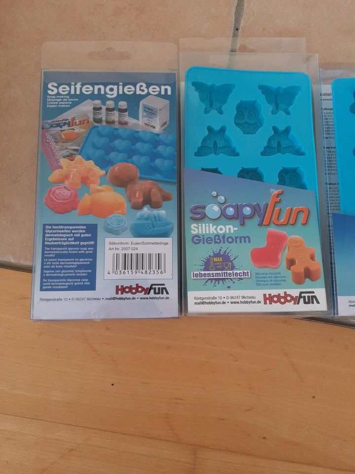 Seifengießen Silikonformen von HobbyFun in Neckargemünd