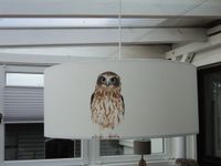 Deckenlampe Hängelampe Eule 60cm Schleswig-Holstein - Laboe Vorschau