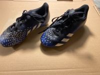 Adidas Predator Freak 4 Kinder Fußballschuh Größe 29 Rheinland-Pfalz - Worms Vorschau