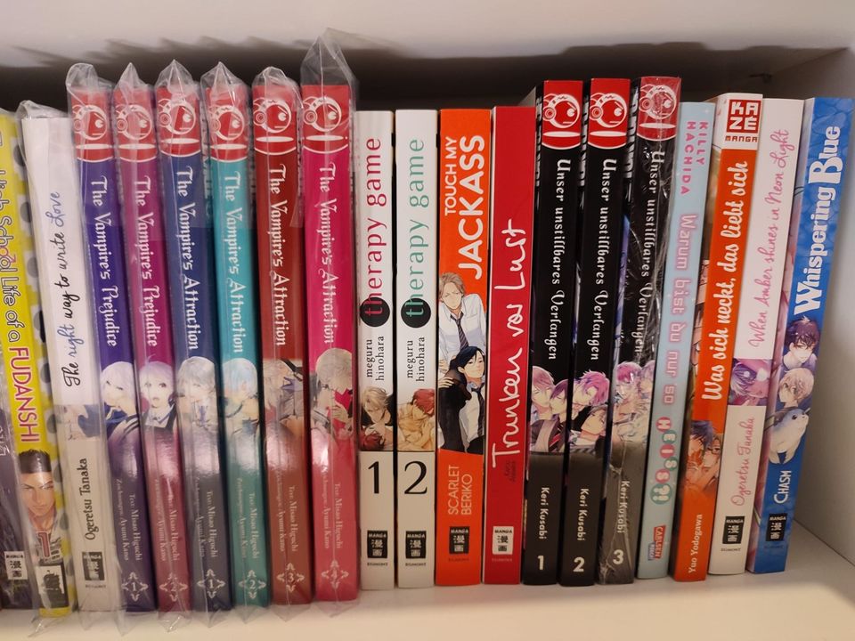 Diverse Mangas / Manga Sammlung 4 in Schifferstadt