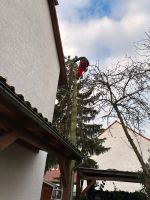 Haus und Gartenpflege Hessen - Büdingen Vorschau