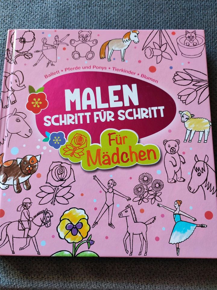 Buch mit Mal Anleitungen für Mädchen in Salzhemmendorf