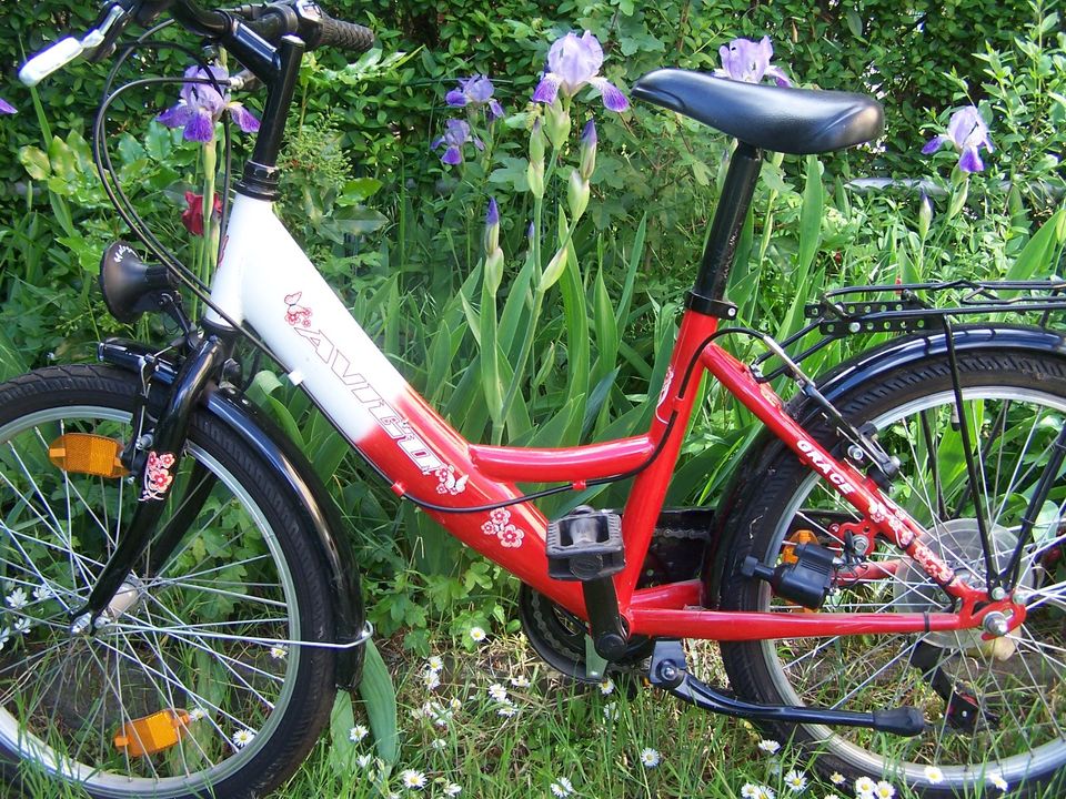 20 Zoll Mädchen Kinderfahrrad mit Licht in Schkopau