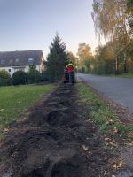 Hecke roden, entfernen. Wurzelfräsen, Stubbenfräsen Nordrhein-Westfalen - Espelkamp Vorschau