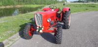 Guldner G30S Oldtimer, Traktor Schlepper Nordrhein-Westfalen - Sundern (Sauerland) Vorschau