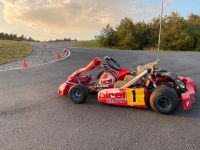 Birel 125 ccm Schaltkart Schalter Shifter Rennkart Berlin - Treptow Vorschau