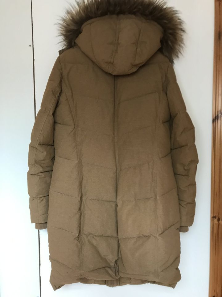 Tom Tailor Pufferjacke Steppjacke - Winter Jacke Damen XL braun in Herdecke