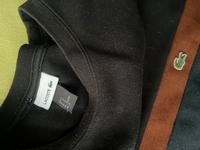 Lacoste Pullover Sachsen - Oederan Vorschau