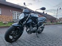 Suzuki SFV 650 Gladius / Kawasaki ER6N Honda CB Anfänger Einsteig Rheinland-Pfalz - Nistertal Vorschau