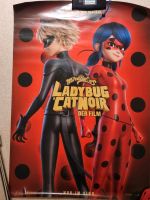 Kinoplakat Poster: Miracolous Ladybug & Cat Noir 118x84cm Bayern - Memmingen Vorschau