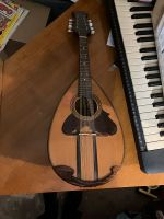 Suzuki Mandoline Perlmutt m 218 violine 70er Rostock - Stadtmitte Vorschau