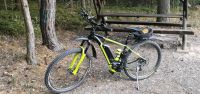 Ghost Teru E-Bike 29 Zoll Größe L Thüringen - Zeulenroda Vorschau
