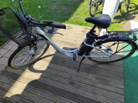 E Bike gebraucht Brandenburg - Nordwestuckermark Vorschau