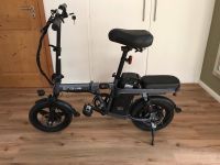 ENGWE T14 Ebike Faltrad 250W Schleswig-Holstein - Selk Vorschau