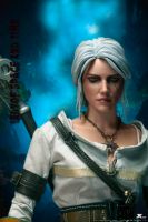 1/6 Ciri Figur The Witcher kein Hot Toys Nürnberg (Mittelfr) - Südstadt Vorschau