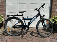 Fahrrad 26 Zoll, Pegasus Avanti Schleswig-Holstein - Bad Segeberg Vorschau