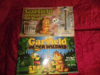 Garfield Comic Das Buch zum 2.ten und 3.ten Film Hessen - Hainburg Vorschau