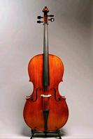 Cello 4/4, deutsches Meistercello Niedersachsen - Salzhausen Vorschau