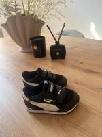 Adidas Schuhe zu verkaufen Nordrhein-Westfalen - Gelsenkirchen Vorschau