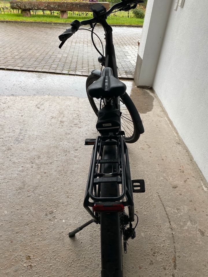 E-Bike Pegasus in Oberkirch