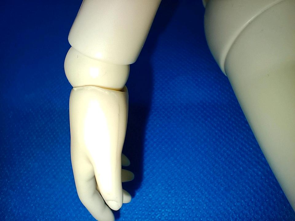 RESERVIERT! BJD MSD 1/4 Customhouse Ai Rena Doll Legit Puppe in Pfinztal