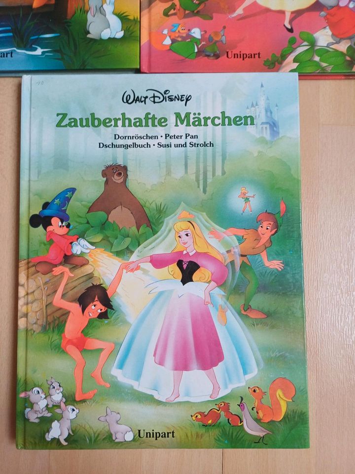 Kinderbücher Walt Disney "Zauberhafte Märchen" in Neustrelitz